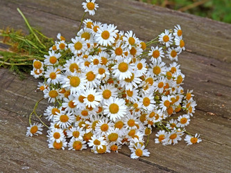 Similar image 652106