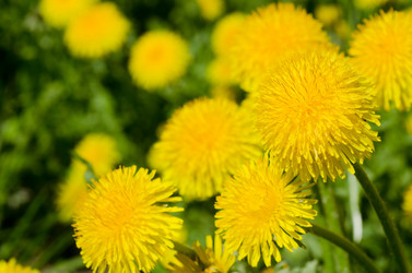 Similar image 652107