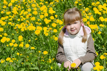 Similar image 652110