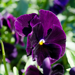 Similar image 652127