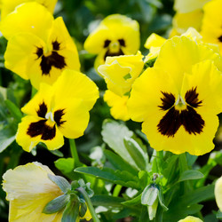 Similar image 652129