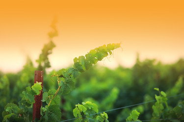 Similar image 652139