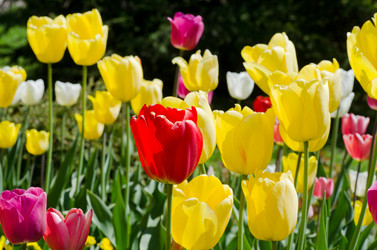 Similar image 652140