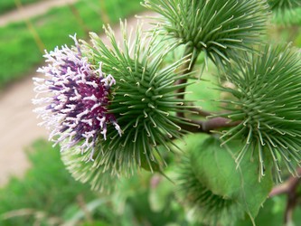 Similar image 652142