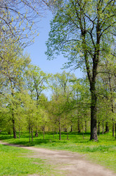 Similar image 652158