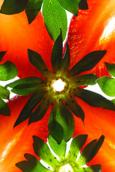 Similar image 652173