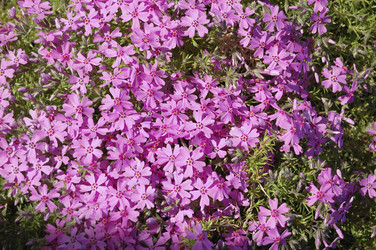 Similar image 652179