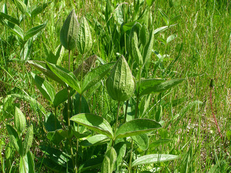 Similar image 652189