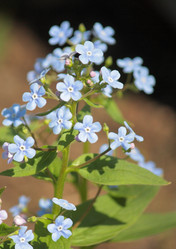 Similar image 652191