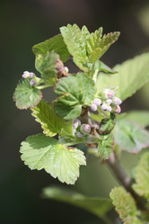 Similar image 652194