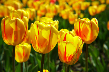 Similar image 652215