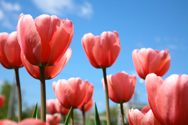 Similar image 652218