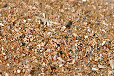 Similar image 652225