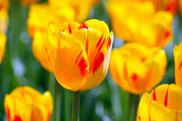 Similar image 652231