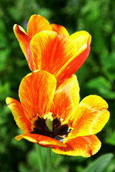 Similar image 652232