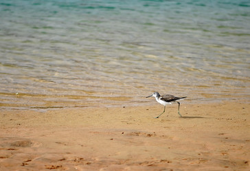 Similar image 652233