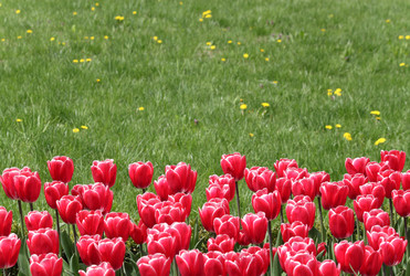 Similar image 652234