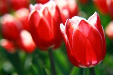 Similar image 652236