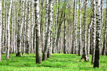 Similar image 652241