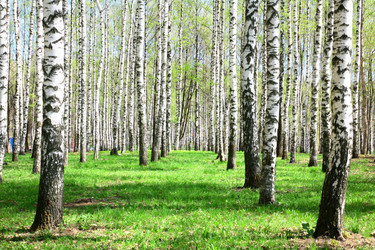 Similar image 652243