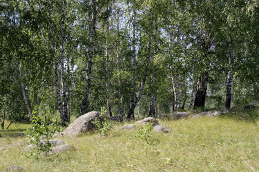 Similar image 652244