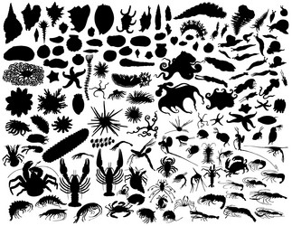 Similar image 652283