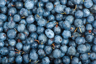 Similar image 652286