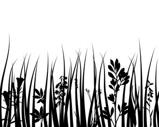 Similar image 652299