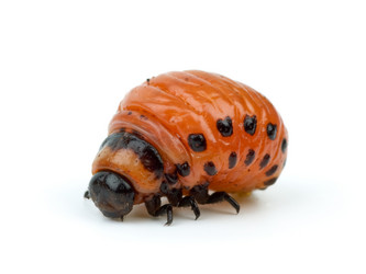 Similar image 652307