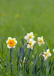 Similar image 652370