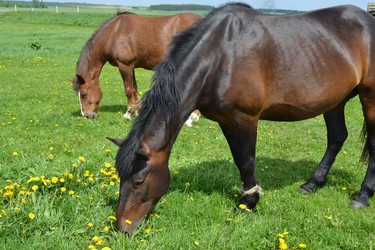 Similar image 652420