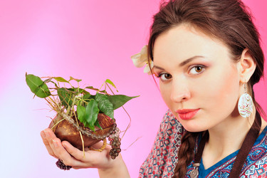 Similar image 652460