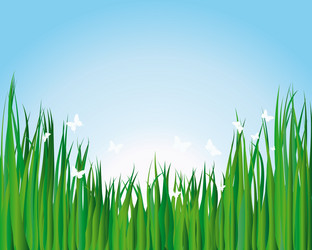 Similar image 652764