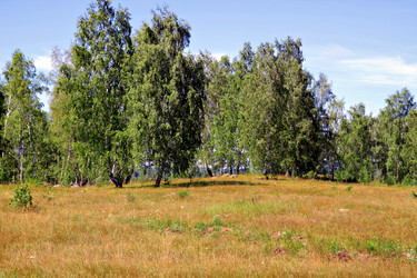 Similar image 652777