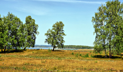 Similar image 652776