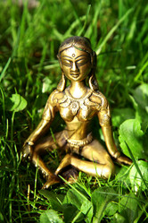 Similar image 652835