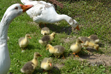 Similar image 652840