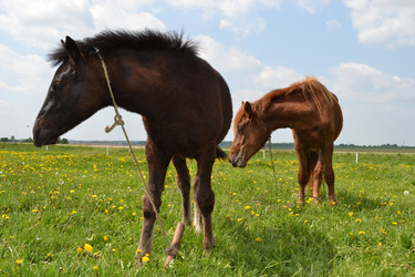 Similar image 652843