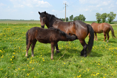 Similar image 652844