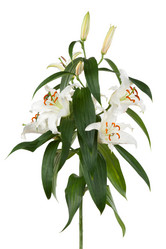 Similar image 652845