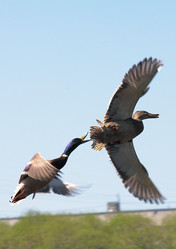 Similar image 652850