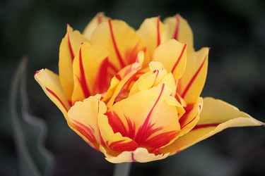 Similar image 652851