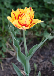 Similar image 652852