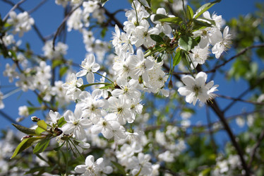 Similar image 652854