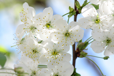 Similar image 652855