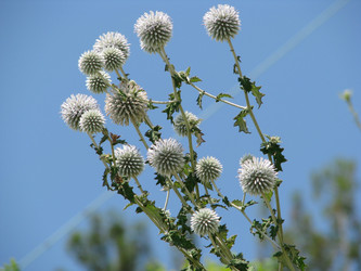 Similar image 652902