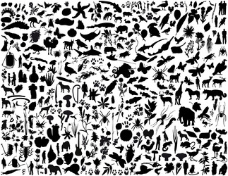 Similar image 652960