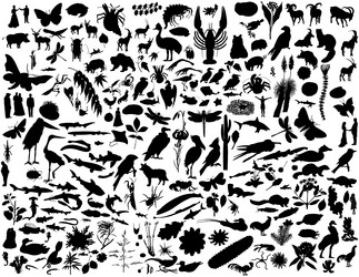 Similar image 652961