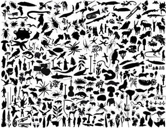 Similar image 652962