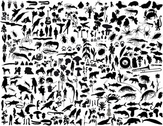 Similar image 652963